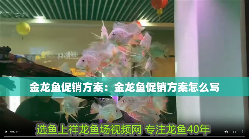 金龍魚促銷方案：金龍魚促銷方案怎么寫 金龍魚促銷方案：金龍魚促銷方案怎么寫 水族問答