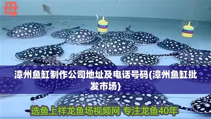 漳州魚缸制作公司地址及電話號碼(漳州魚缸批發市場)