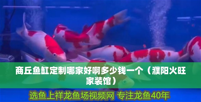 商丘魚缸定制哪家好啊多少錢一個（濮陽火旺家裝館）