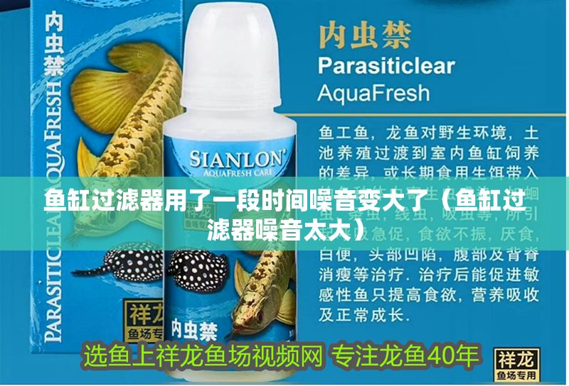 魚缸過濾器用了一段時間噪音變大了（魚缸過濾器噪音太大）