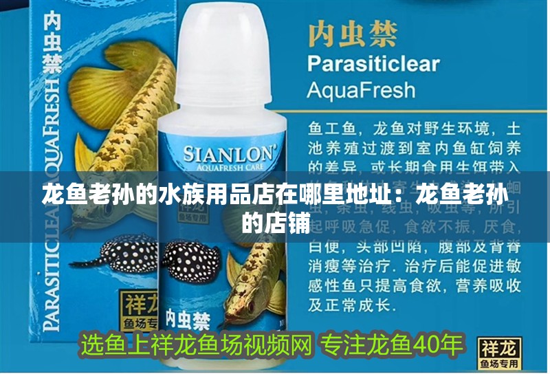 龍魚老孫的水族用品店在哪里地址：龍魚老孫的店鋪