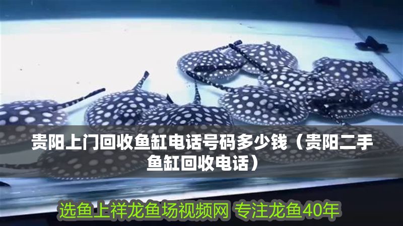 貴陽上門回收魚缸電話號碼多少錢（貴陽二手魚缸回收電話）