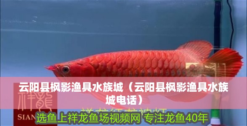 云陽縣楓影漁具水族城（云陽縣楓影漁具水族城電話）