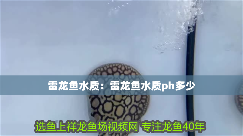 雷龍魚(yú)水質(zhì)：雷龍魚(yú)水質(zhì)ph多少