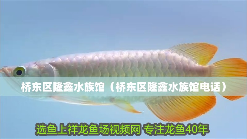 橋東區隆鑫水族館（橋東區隆鑫水族館電話）