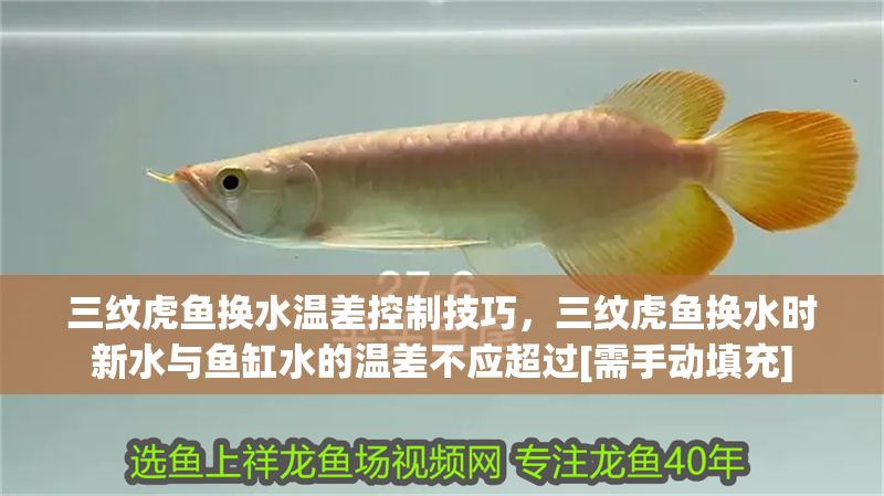 三紋虎魚換水溫差控制技巧，三紋虎魚換水時新水與魚缸水的溫差不應超過[需手動填充]