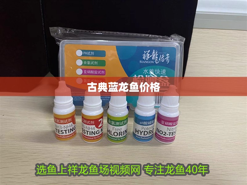 古典藍(lán)龍魚價格