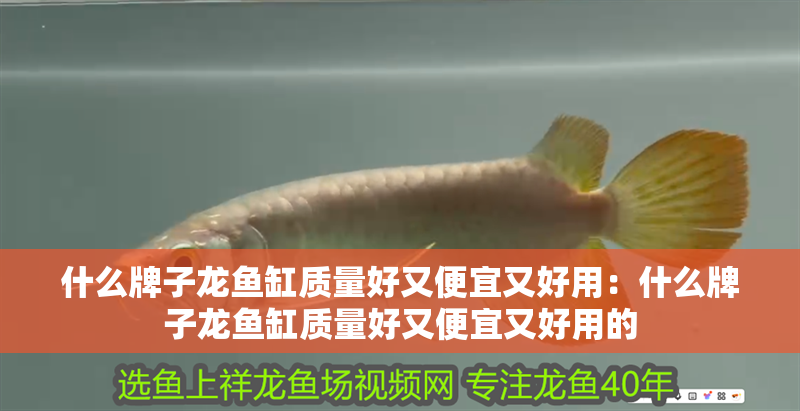 什么牌子龍魚缸質(zhì)量好又便宜又好用：什么牌子龍魚缸質(zhì)量好又便宜又好用的