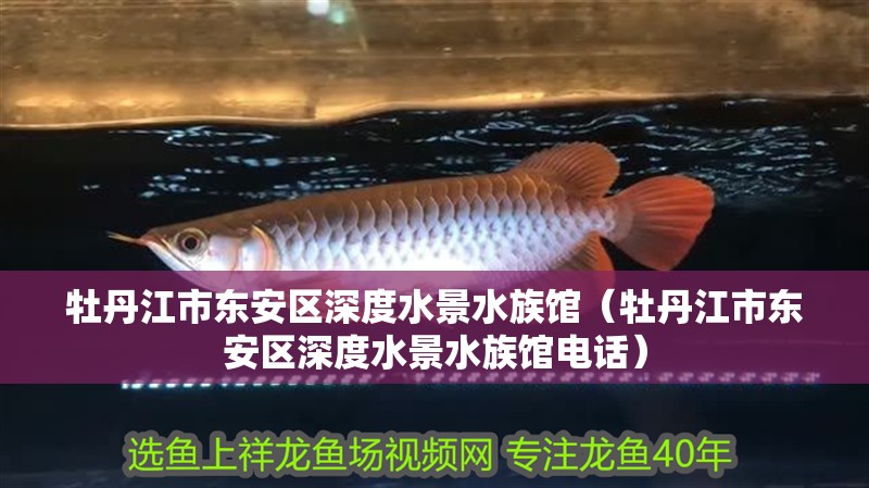 牡丹江市東安區深度水景水族館（牡丹江市東安區深度水景水族館電話）