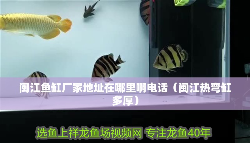 閩江魚缸廠家地址在哪里啊電話（閩江熱彎缸多厚）