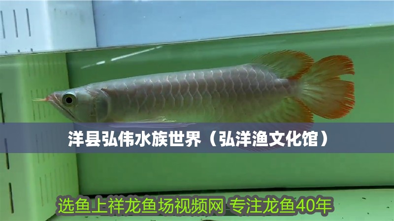 洋縣弘偉水族世界（弘洋漁文化館）