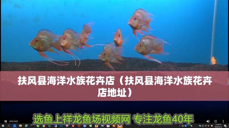 扶風縣海洋水族花卉店（扶風縣海洋水族花卉店地址）