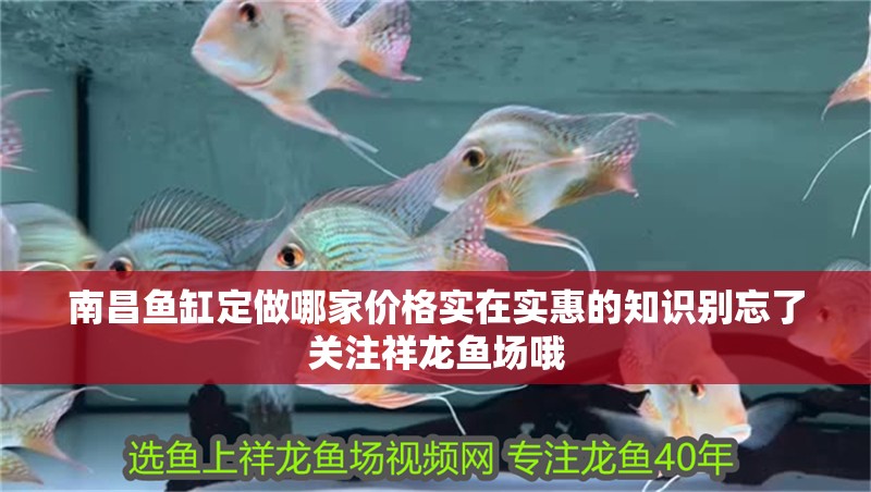 南昌魚缸定做哪家價格實在實惠的知識別忘了關注祥龍魚場哦