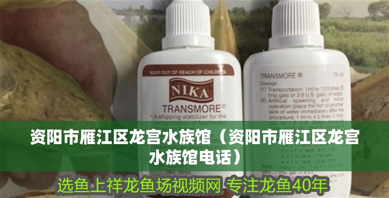 資陽市雁江區(qū)龍宮水族館（資陽市雁江區(qū)龍宮水族館電話）