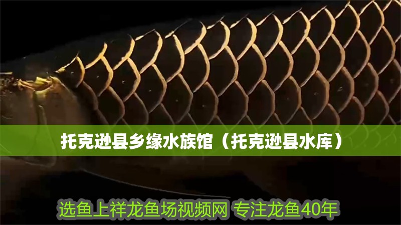 托克遜縣鄉緣水族館（托克遜縣水庫）