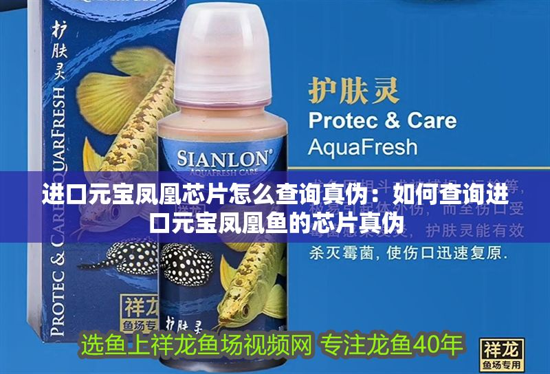 進(jìn)口元寶鳳凰芯片怎么查詢真?zhèn)危喝绾尾樵冞M(jìn)口元寶鳳凰魚的芯片真?zhèn)? title=