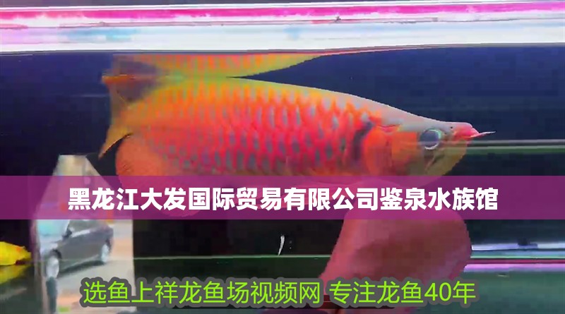 黑龍江大發(fā)國際貿(mào)易有限公司鑒泉水族館