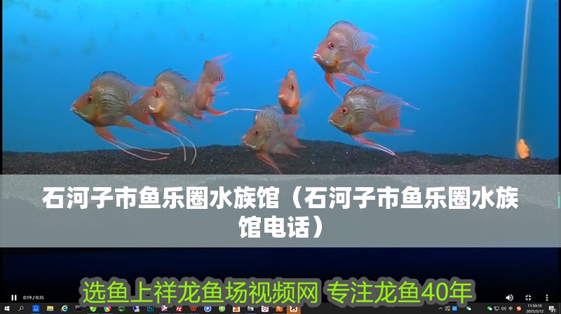 石河子市魚樂圈水族館（石河子市魚樂圈水族館電話）
