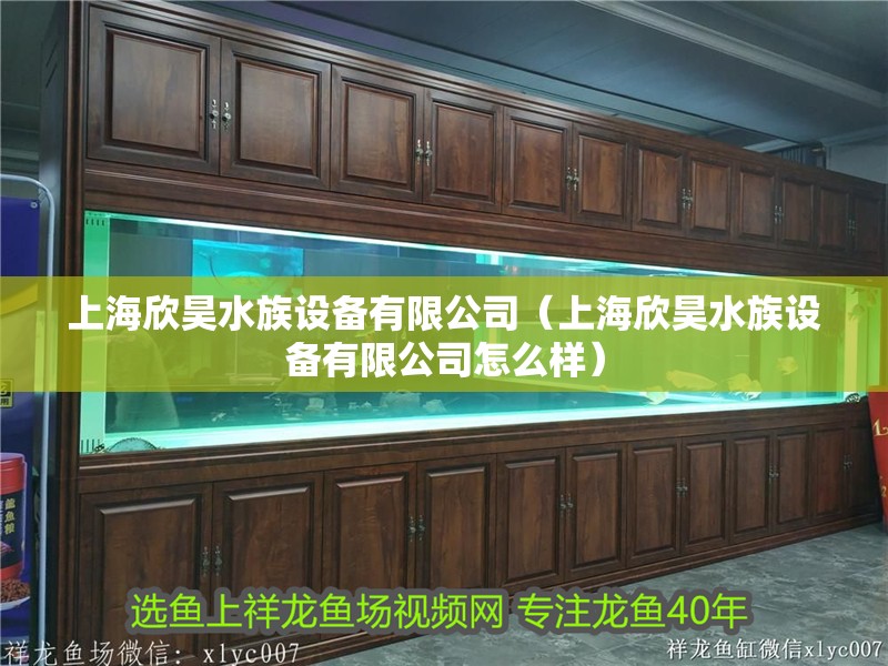 上海欣昊水族設備有限公司（上海欣昊水族設備有限公司怎么樣）