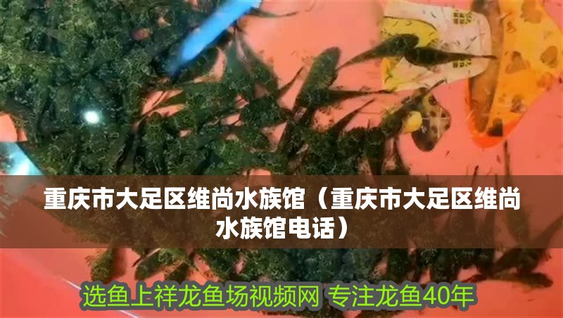 玻璃魚(yú)缸突然爆裂預(yù)兆：魚(yú)缸爆裂的原因及預(yù)防