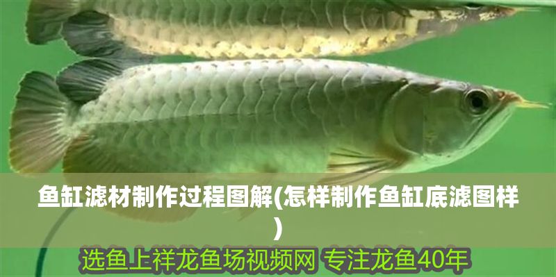 魚缸濾材制作過程圖解(怎樣制作魚缸底濾圖樣)