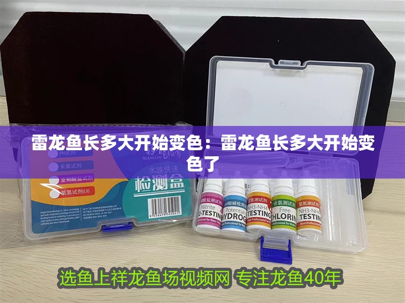 雷龍魚長多大開始變色：雷龍魚長多大開始變色了