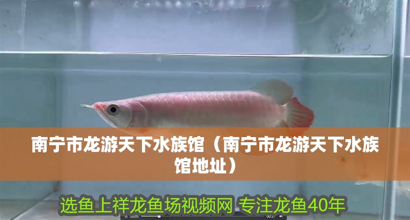 南寧市龍游天下水族館（南寧市龍游天下水族館地址）