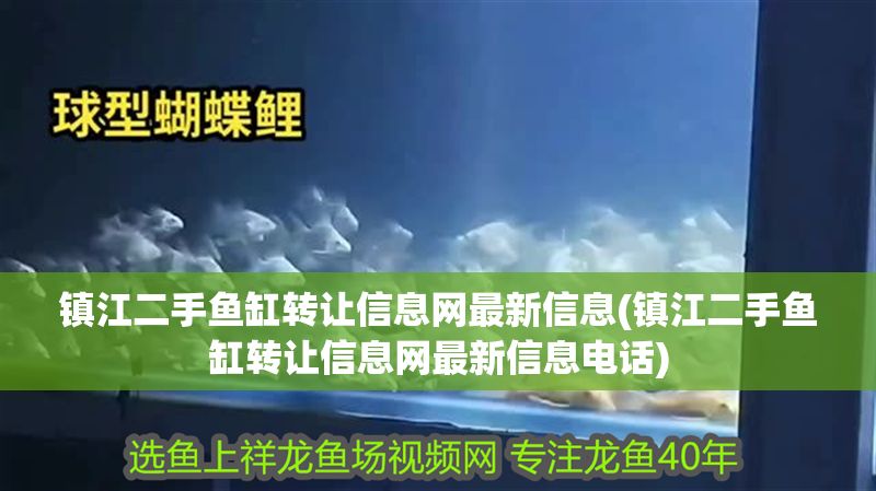 鎮江二手魚缸轉讓信息網最新信息(鎮江二手魚缸轉讓信息網最新信息電話)
