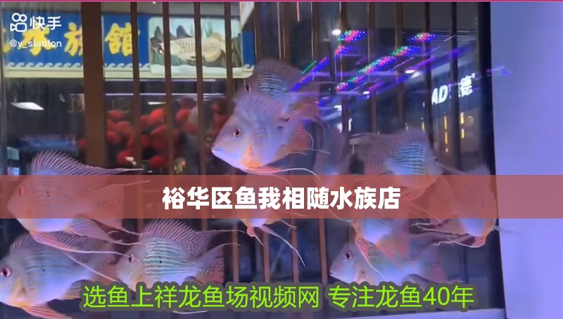 百春旺魚缸：臨沂市河東區百春旺魚缸廠