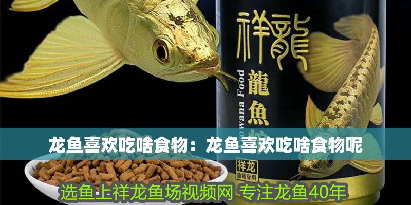 移動海鮮魚缸設(shè)計圖(移動海鮮魚缸設(shè)計圖紙)
