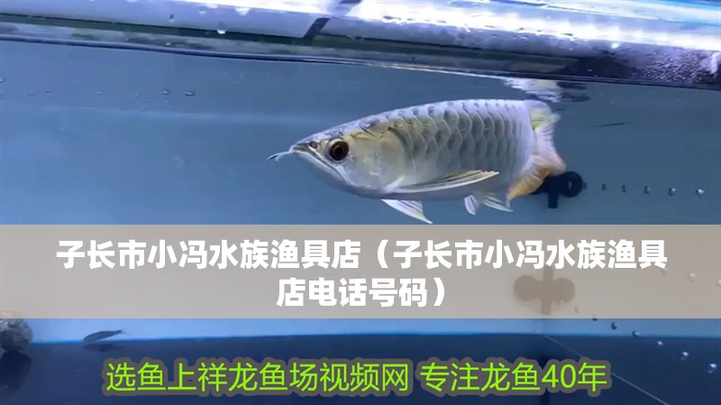 子長市小馮水族漁具店（子長市小馮水族漁具店電話號碼）