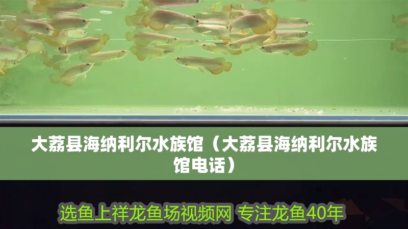 豬鼻龜是野生動物嗎為什么不能養呢視頻(豬鼻龜是野生的還是人工繁殖的)
