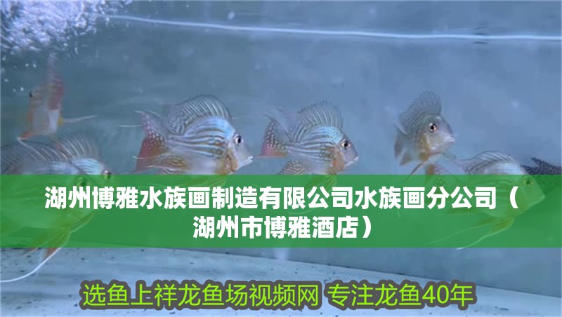 森森FK-01D電動園藝噴霧器（森森dc-01）