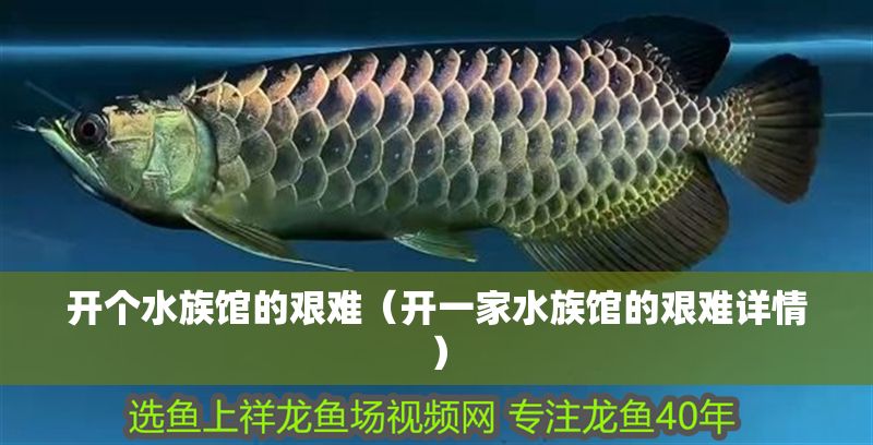 開個水族館的艱難（開一家水族館的艱難詳情）