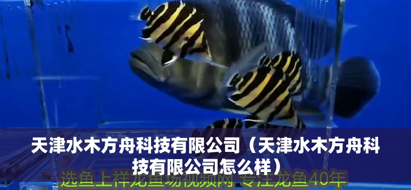 天津水木方舟科技有限公司（天津水木方舟科技有限公司怎么樣）