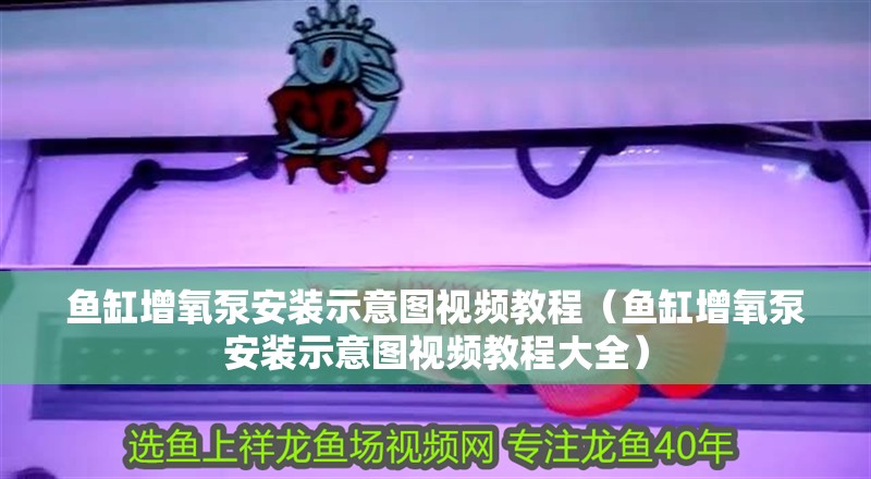 魚缸增氧泵安裝示意圖視頻教程（魚缸增氧泵安裝示意圖視頻教程大全）