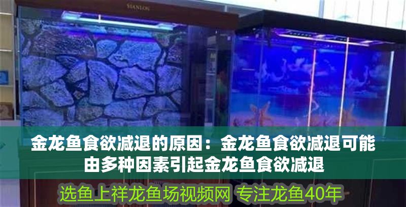 金龍魚食欲減退的原因：金龍魚食欲減退可能由多種因素引起金龍魚食欲減退