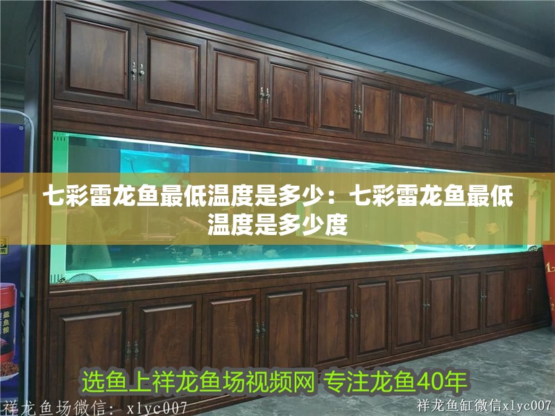 七彩雷龍魚最低溫度是多少：七彩雷龍魚最低溫度是多少度