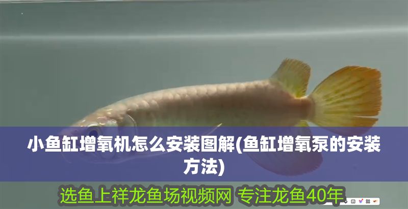 小魚缸增氧機怎么安裝圖解(魚缸增氧泵的安裝方法)