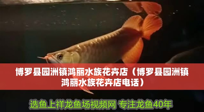 博羅縣園洲鎮鴻麗水族花卉店（博羅縣園洲鎮鴻麗水族花卉店電話）