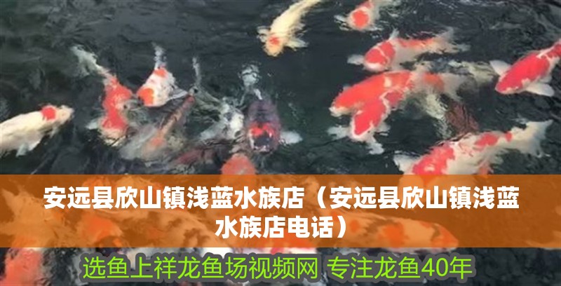 安遠縣欣山鎮淺藍水族店（安遠縣欣山鎮淺藍水族店電話）