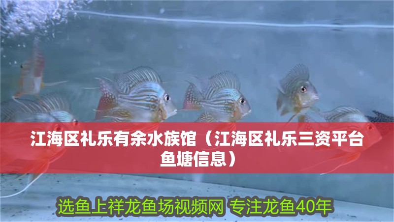 銀龍魚兇猛不(銀龍魚兇猛不兇)