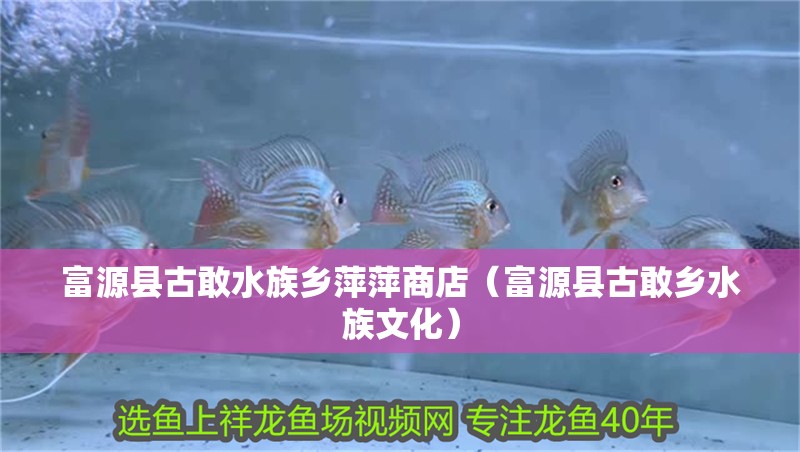 富源縣古敢水族鄉(xiāng)萍萍商店（富源縣古敢鄉(xiāng)水族文化）
