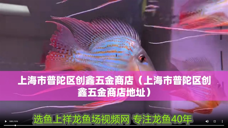 天津龍魚祥龍魚場地址查詢（祥龍魚場觀賞魚）