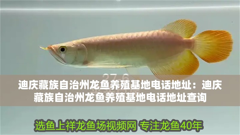 迪慶藏族自治州龍魚養(yǎng)殖基地電話地址：迪慶藏族自治州龍魚養(yǎng)殖基地電話地址查詢