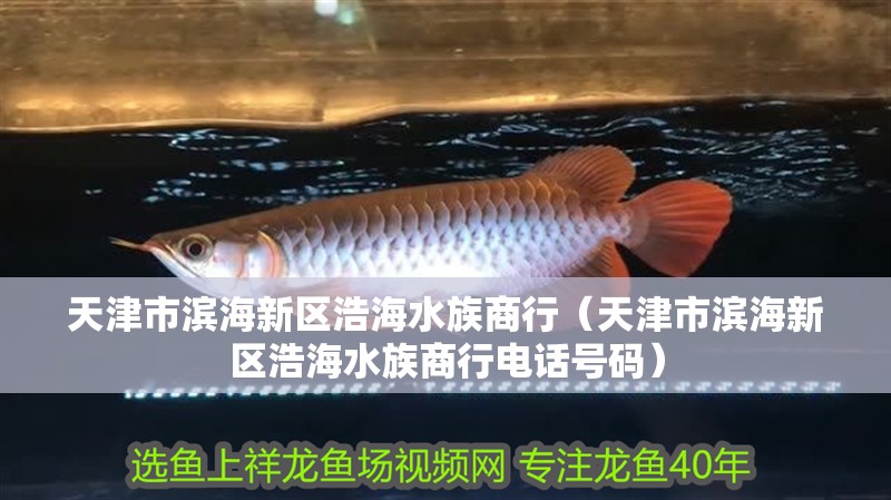 天津市濱海新區浩海水族商行（天津市濱海新區浩海水族商行電話號碼）