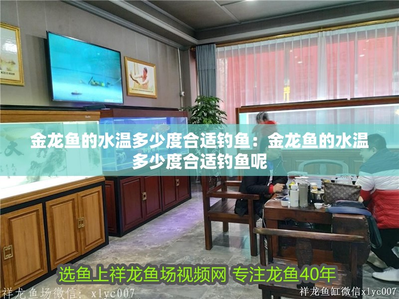 金龍魚(yú)的水溫多少度合適釣魚(yú)：金龍魚(yú)的水溫多少度合適釣魚(yú)呢
