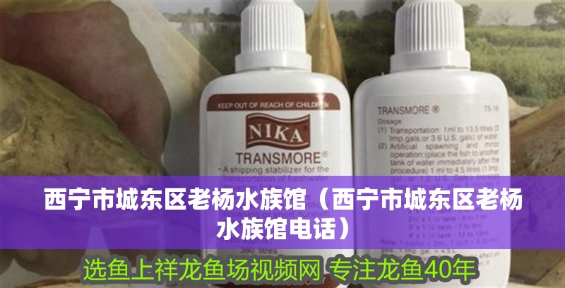 西寧市城東區老楊水族館（西寧市城東區老楊水族館電話）