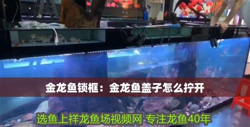 金龍魚鎖框：金龍魚蓋子怎么擰開