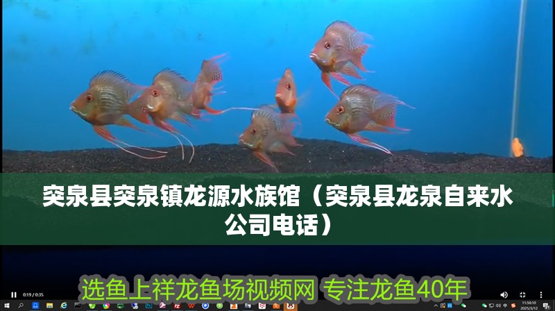 突泉縣突泉鎮龍源水族館（突泉縣龍泉自來水公司電話）
